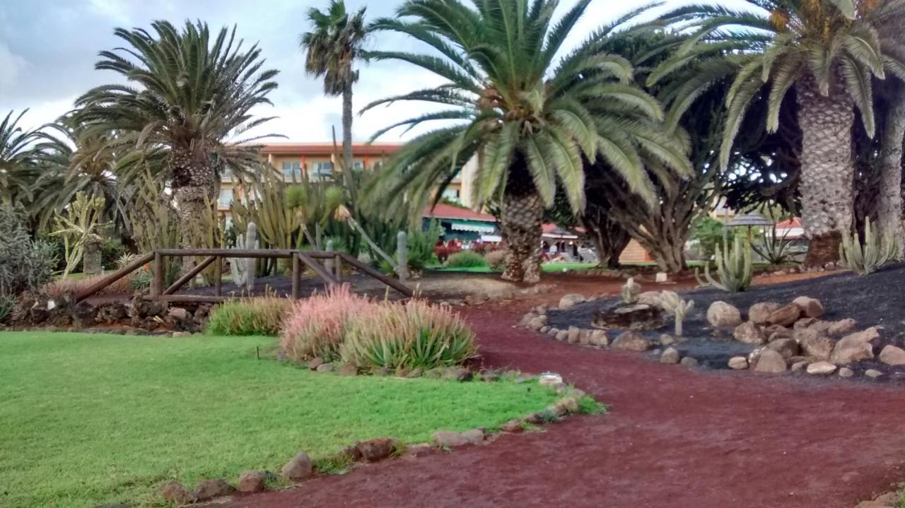 Le Poulpe Bleu Fuerteventura Chic And Relax Διαμέρισμα Puerto del Rosario  Εξωτερικό φωτογραφία